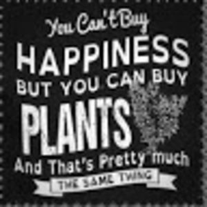 Meet your Posher, Annelise